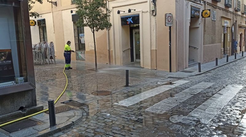 Limpieza y desinfección en San Lorenzo de El Escorial 4