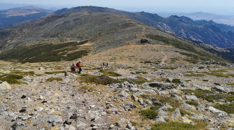 CUERDA LARGA Pandasco
