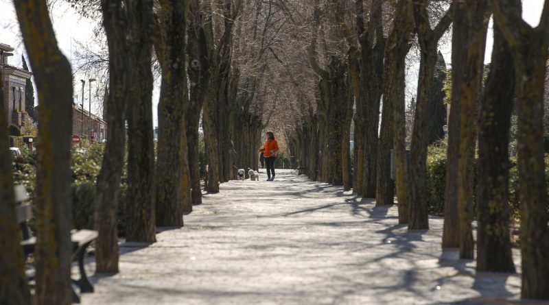 ENCUENTRO SEMANA EUROPEA DE LAS CIUDADES