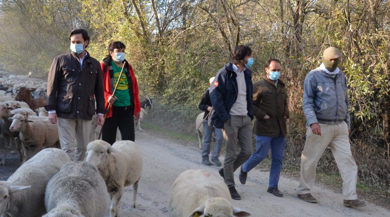 B3E542DA-2159-4A53-A80A-CB1D41319170