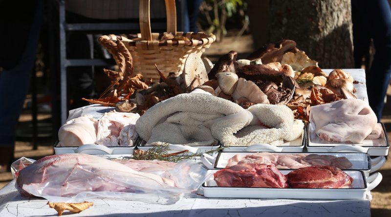 jornadas casqueria 5