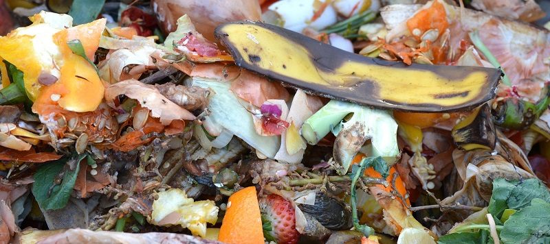 SIERRA DE GUADARRAMA COMPOSTAJE (002)