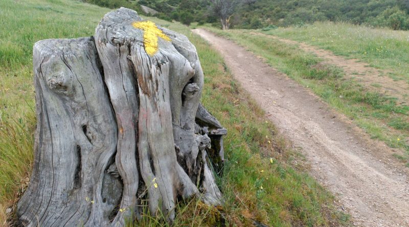 Camino de Santiago