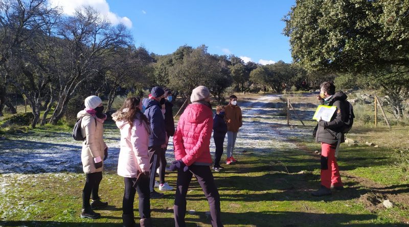 eca4aa16-05b7-4a01-be76-718f2a7a8505