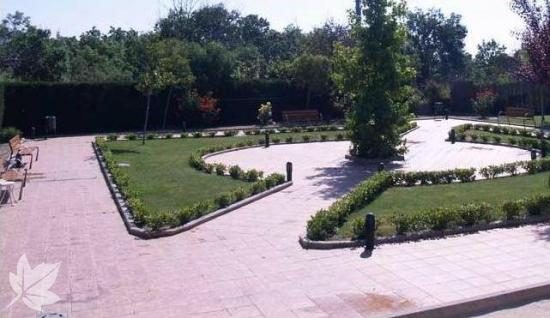 residencia vigor