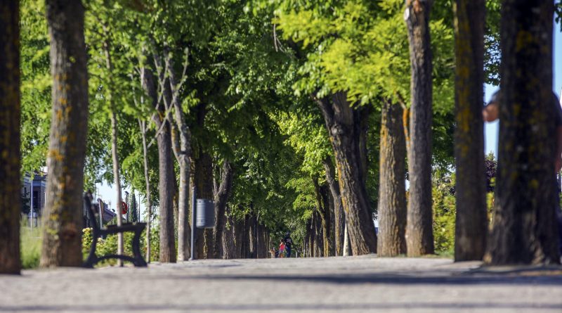 BulevarSitges__003 (3)