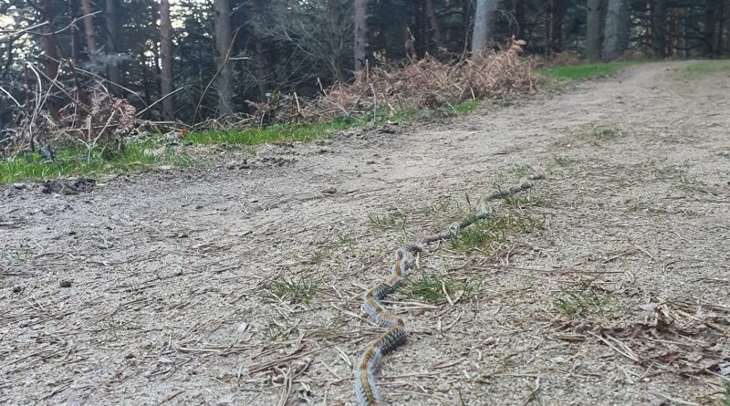 WhatsApp Image 2021-03-14 at 21.11.55