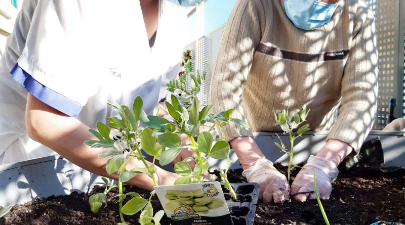 ORPEA - Dia Mundial de la Salud