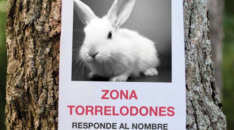 ix-festival-de-magia