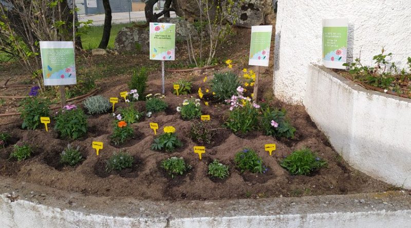 rincon-polinizadores