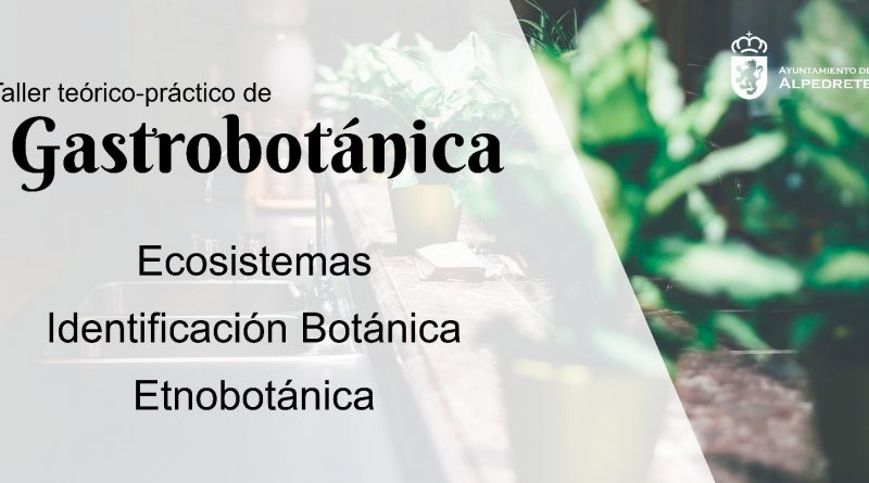 taller-de-gastrobotanica