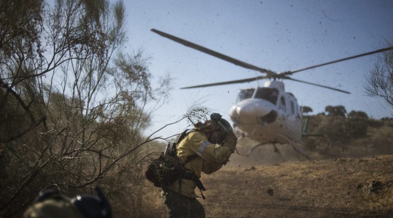 Firefighters of Brica¥s Malaga 703 of the service of Andalucian Infoca plan work in the wildfire in El Ronquillo, near Sevilla on July 26, 2015.
Since July 19 wildfires have ravaged nearly 39,000 hectares of land in Spain, according to the provisional figures from the agriculture ministry. © Pedro ARMESTRE