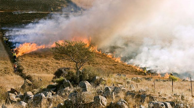 prevencion-incendios