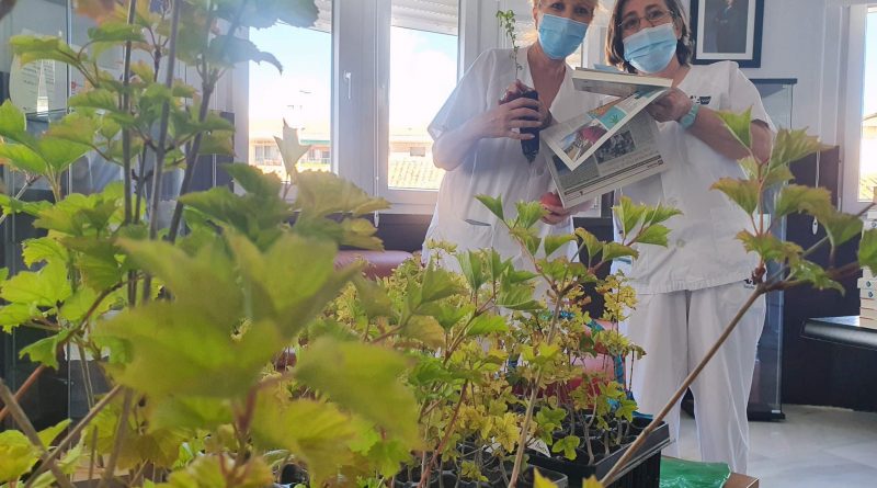 040621 HOSPITALGUADARRAMA