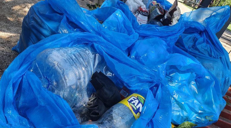 140621 BASURALEZA 02