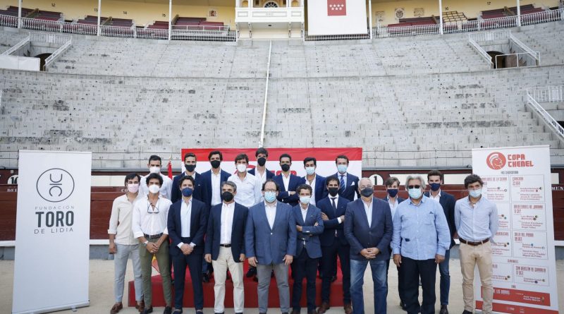 COMUNIDAD DE MADRID 
FOTO: D. SINOVA