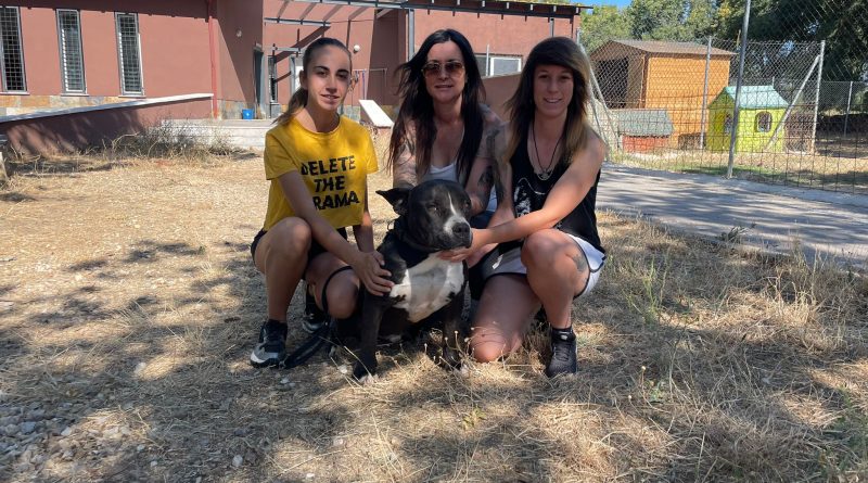 WhatsApp Image 2021-08-17 at 11.26.21