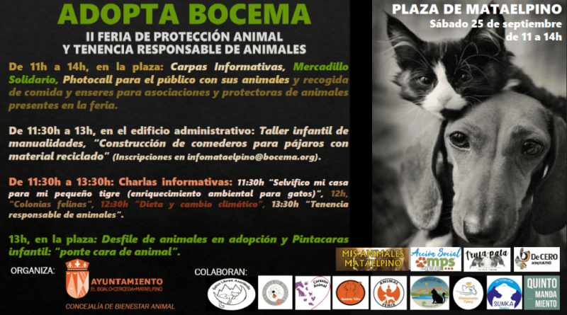 CARTEL-1-1024x572