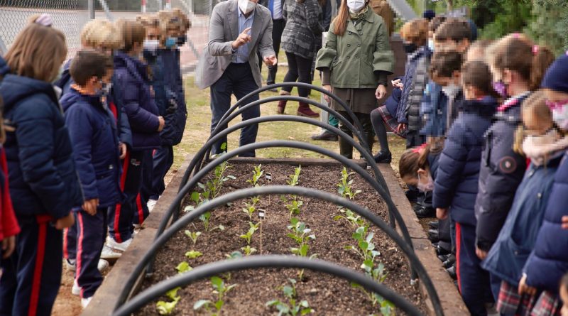 COMPOSTAJE ESCUELAS 2