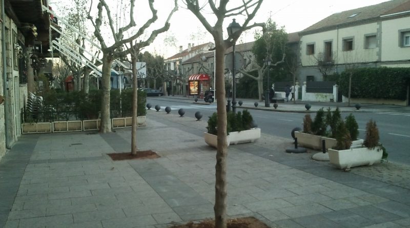 arboles-av-constitucion