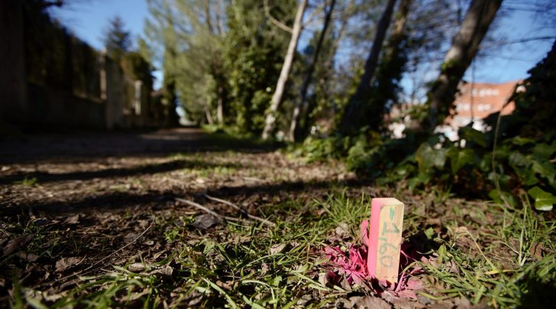 Colectores Villa Rozas